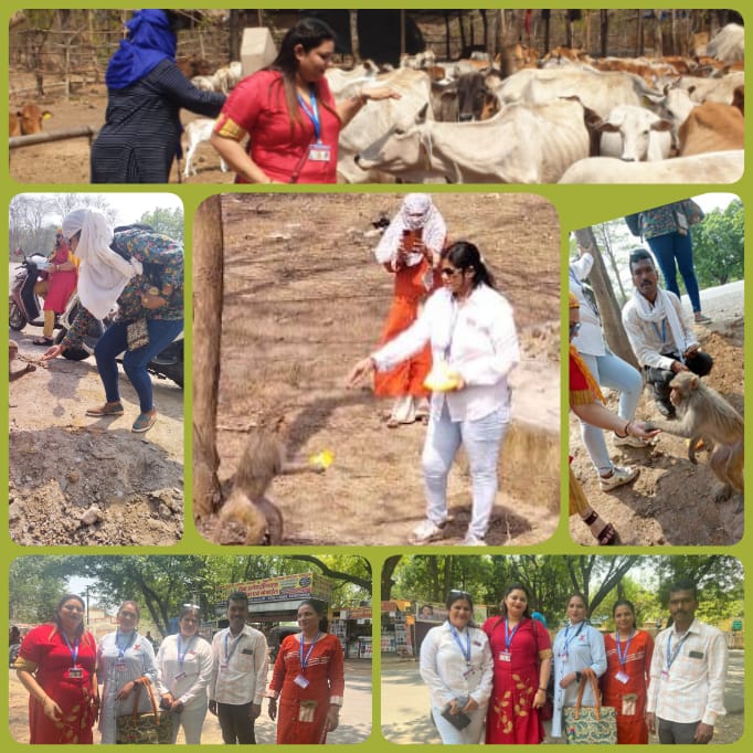 नागरिक सुरक्षा सेवा संगठन द्वारा बेजुबान जानवरो के साथ रायगढ़ जिला अध्यक्ष ने मनाया अपनी शादी का सालगिरह…
