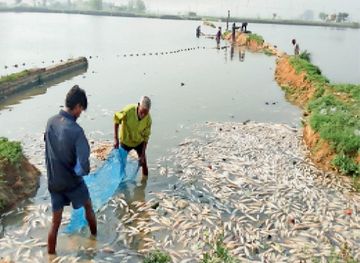 मछली मारने पर 16 जून से दो माह के लिए लगा प्रतिबंध” मछली पालन विभाग ने जारी की अधिसूचना… मछली मारने पर 16 जून से दो माह के लिए लगा प्रतिबंध” मछली पालन विभाग ने जारी की अधिसूचना…