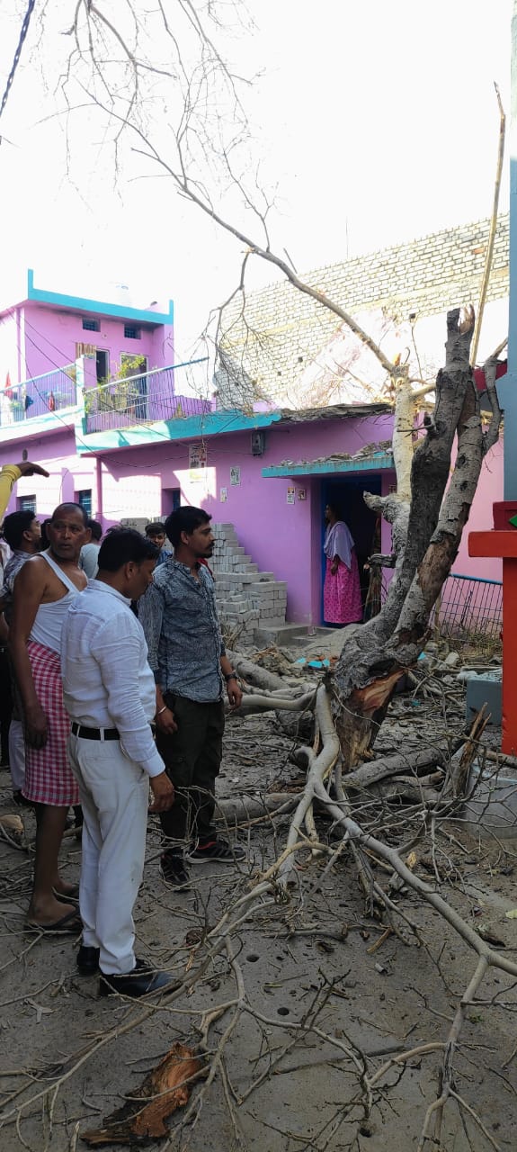विशालकाय पेड़ गिरने से घर को भारी नुकसान, जिला पंचायत सदस्य अरुना चंद्रप्रकाश सूर्या ने पीड़ित परिवार को दिया हर संभव मदद का आश्वाशन